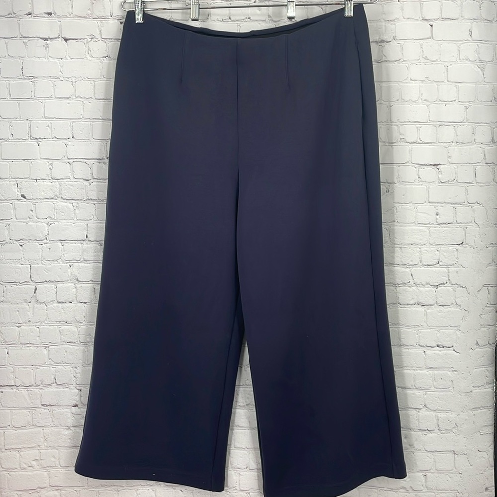 Wide Leg Stretchy Comfy Work Sweatpants Elastic Waist Lane Bryant 22S Short 2023